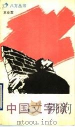 中国文字狱   1990  PDF电子版封面  7536006268  王业霖编著 