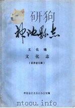 神池县志  文化编  文化志  征求意见稿（ PDF版）