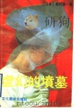 虚幻的坟墓 1990 PDF电子版封面 7503900229 (日)森村诚一著;华经武译