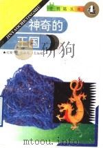 神奇的王国 1993 PDF电子版封面 7560714021 孔繁华,刘淑英,姜远超