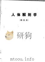 人体解剖学  勘误表（ PDF版）