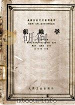 高等医药院校试用教材 组织学 1961 PDF电子版封面 14048·2393 王有琪主编;张作干,王有琪,许天禄,李肇特编写;谷华运助编