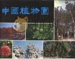 中国植物园（1983 PDF版）