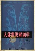 人体组织解剖学 第2版 1981 PDF电子版封面 7040020688 北京师范大学等编