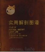 实用解剖图谱 四肢分册 下肢 1985 PDF电子版封面 14119·1638 高士濂主编;赵连科等编写
