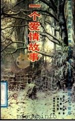 一个爱情故事 1988 PDF电子版封面 7540403721 (苏)卢烈著;张铁钢,端木来娣译