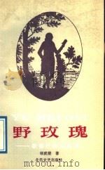 野玫瑰-歌德抒情诗咀华 1989 PDF电子版封面 7537801509 杨武能著