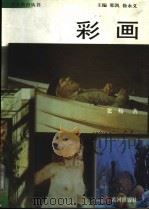 彩画   1999  PDF电子版封面  7801520939  邢凯，徐永义主编；张炀著 