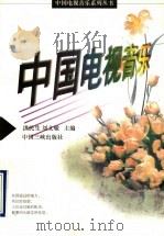 中国电视音乐 1996 PDF电子版封面 7800992071 洪民生,刘文敏主编