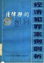 法律顾问：经济犯罪案例剖析（ PDF版）