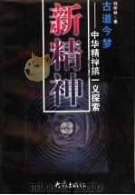 新精神 1999 PDF电子版封面 753472158X 刘仲林著