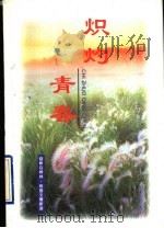 炽灼青春 1998 PDF电子版封面 7505930028 超群,成君主编
