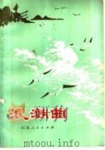 浪潮曲 1977 PDF电子版封面 10099·222 王颖,李荣德著