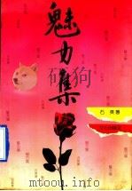 魅力集 1991 PDF电子版封面 7805373981 石英著