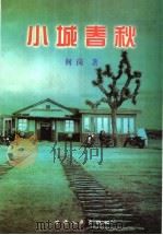 小城春秋 1999 PDF电子版封面 7226021498 何岗著