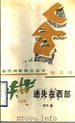 迷失在西部 1991 PDF电子版封面 7805055971 毛竹著