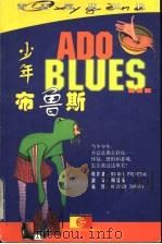 少年布鲁斯 1999 PDF电子版封面 7216025482 (法)(M.皮克马尔)Michel Piquemal原著;周
