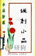 讽刺小品（1992.05 PDF版）