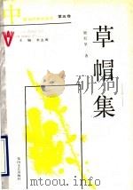 草帽集 1989 PDF电子版封面 7805052263 殷红坚著