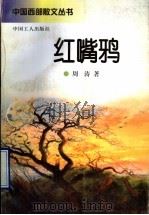 红嘴鸦 1996 PDF电子版封面 7500818203 周涛著