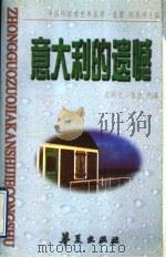 意大利的遗憾 1997 PDF电子版封面 7508010590 吕同六,张洁选编