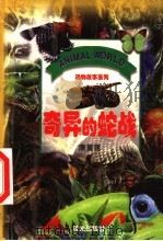 奇异的蛇战 1999 PDF电子版封面 7541416088 康复昆著