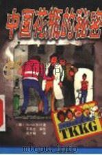 中国花瓶的秘密 1999 PDF电子版封面 7530106996 (德)(S.沃尔夫)Stefan Wolf著;吴志娟译