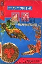 图解十万个为什么:奇妙的动植物王国 1995 PDF电子版封面 7800990907 程宏君,夏寒松编著