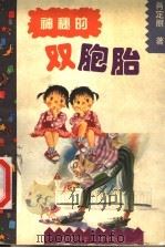 神秘的双胞胎 很长很长的童话故事 1998 PDF电子版封面 7535813372 肖定丽著