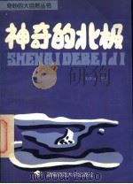 神奇的北极 1996 PDF电子版封面 7810315188 朱跃清编著