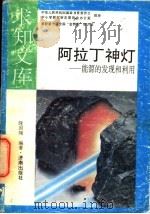 阿拉丁神灯 1992 PDF电子版封面 7805726094 隆国强编著