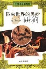 昆虫世界的奥妙（ PDF版）