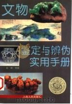 文物鉴定与辨伪实用手册 1996 PDF电子版封面 7208021430 秦晴等著