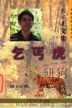 乞丐虎（1997 PDF版）