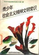 青少年社会主义精神文明常识 1996 PDF电子版封面 7503515147 中共中央政策研究室文化组编
