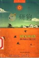 回家的路 1998 PDF电子版封面 7537618569 成一著