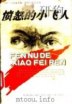 颜煦之儿童故事集  愤怒的小飞人   1998  PDF电子版封面  7537921415  颜煦之著 