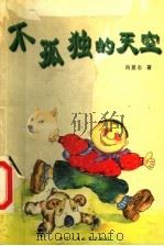 不孤独的天空 1998 PDF电子版封面 7536520654 肖显志著