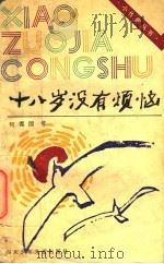十八岁没有烦恼（1994 PDF版）