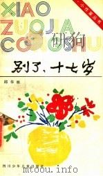 别了 十七岁 1995 PDF电子版封面 7536512848 邱华栋著