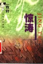 惊涛（1998 PDF版）