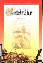 武侠鼻祖向恺然代表作 1996 PDF电子版封面 7539910313 向恺然著