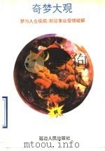 奇梦大观（1995 PDF版）