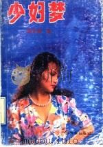 少妇梦 1992 PDF电子版封面 7536315228 柯天国著