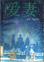 爱妻 1989 PDF电子版封面 7536004362 钟晓阳著