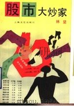 股市大炒家 1994 PDF电子版封面 7532112489 林坚著
