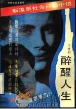 醉醒人生 新流派社会问题小说 1993 PDF电子版封面 754041037X 于建初著