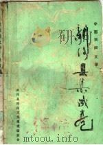 中国民间文学  新河县集成卷（ PDF版）