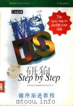 Microsoft MS-DOS 循序渐进教程 6.0和6.2版本 1994 PDF电子版封面 7507708853 Catapult Inc.著;麦道格 尤晓东译