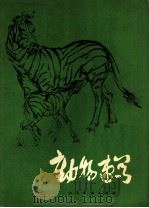 动物速写 1979 PDF电子版封面 8027·7159 袁熙坤绘